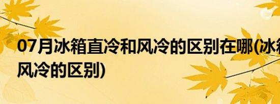 07月冰箱直冷和风冷的区别在哪(冰箱直冷和风冷的区别)