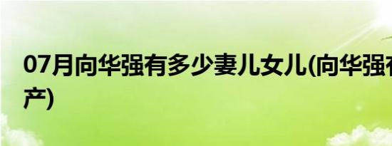 07月向华强有多少妻儿女儿(向华强有多少资产)