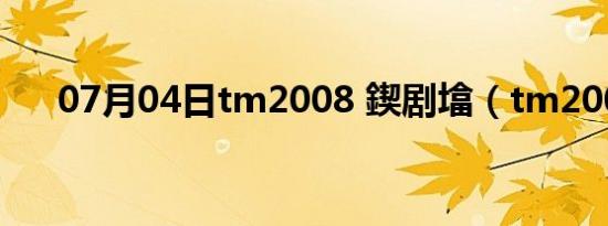 07月04日tm2008 鍥剧墖（tm2008）