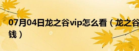 07月04日龙之谷vip怎么看（龙之谷vip多少钱）