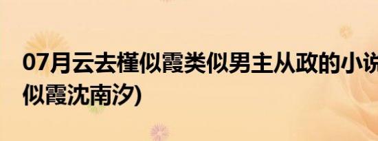 07月云去槿似霞类似男主从政的小说(云去槿似霞沈南汐)