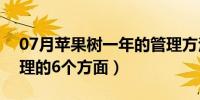 07月苹果树一年的管理方法（苹果树一年管理的6个方面）