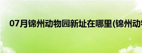 07月锦州动物园新址在哪里(锦州动物园)