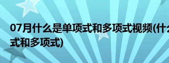 07月什么是单项式和多项式视频(什么是单项式和多项式)