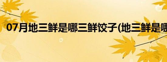 07月地三鲜是哪三鲜饺子(地三鲜是哪三鲜)