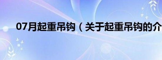 07月起重吊钩（关于起重吊钩的介绍）