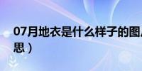 07月地衣是什么样子的图片（地衣是什么意思）