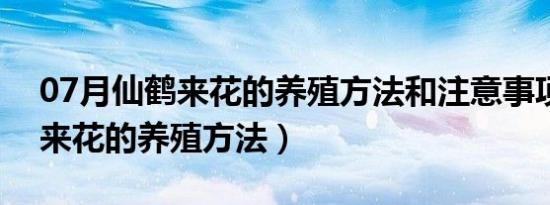 07月仙鹤来花的养殖方法和注意事项（仙鹤来花的养殖方法）