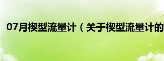 07月楔型流量计（关于楔型流量计的介绍）