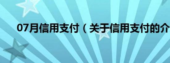 07月信用支付（关于信用支付的介绍）