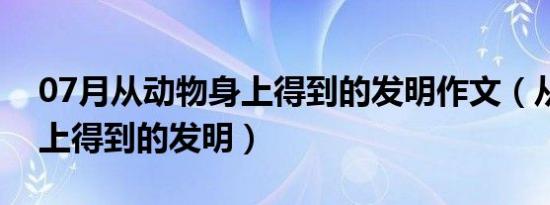 07月从动物身上得到的发明作文（从动物身上得到的发明）