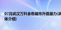 07月武汉万科金色城市升值潜力(武汉万科金色城市项目具体介绍)