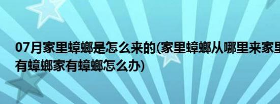 07月家里蟑螂是怎么来的(家里蟑螂从哪里来家里为什么会有蟑螂家有蟑螂怎么办)