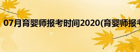 07月育婴师报考时间2020(育婴师报考时间)