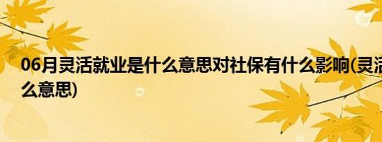 06月灵活就业是什么意思对社保有什么影响(灵活就业是什么意思)