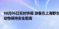 08月06日实时快报 游客在上海野生动物园被袋鼠暴揍 应与动物保持安全距离