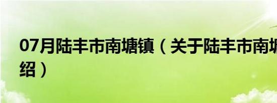 07月陆丰市南塘镇（关于陆丰市南塘镇的介绍）