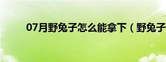 07月野兔子怎么能拿下（野兔子）