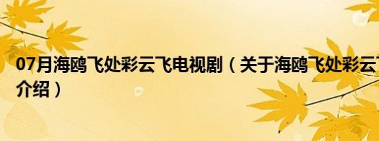 07月海鸥飞处彩云飞电视剧（关于海鸥飞处彩云飞电视剧的介绍）