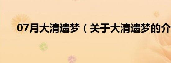 07月大清遗梦（关于大清遗梦的介绍）