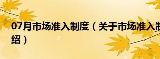 07月市场准入制度（关于市场准入制度的介绍）