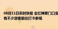 08月11日实时快报 全红婵家门口变成小吃一条街了 每天都有不少游客前往打卡参观