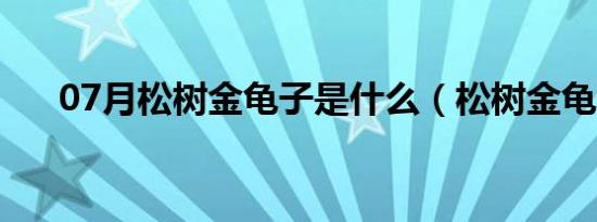 07月松树金龟子是什么（松树金龟子）