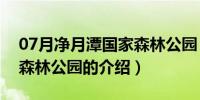 07月净月潭国家森林公园（关于净月潭国家森林公园的介绍）