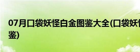 07月口袋妖怪白金图鉴大全(口袋妖怪白金图鉴)