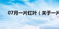 07月一片红叶（关于一片红叶的介绍）