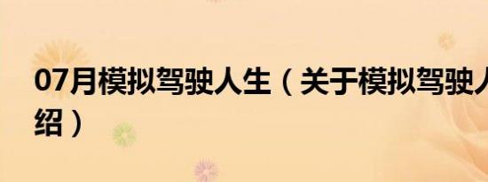 07月模拟驾驶人生（关于模拟驾驶人生的介绍）