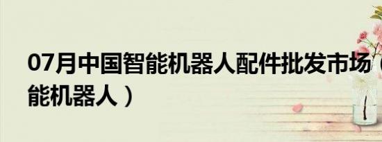 07月中国智能机器人配件批发市场（中国智能机器人）