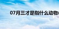 07月三才是指什么动物(三才是什么)