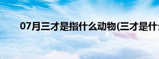 07月三才是指什么动物(三才是什么)