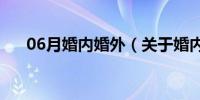 06月婚内婚外（关于婚内婚外的介绍）