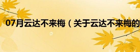 07月云达不来梅（关于云达不来梅的介绍）