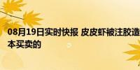 08月19日实时快报 皮皮虾被注胶造假 不实 商贩不可能做亏本买卖的