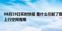 08月19日实时快报 是什么引起了蔬菜价格上涨 专家：后期上行空间有限