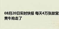 08月20日实时快报 每天4万张故宫门票去哪了 一般都是被黄牛抢走了