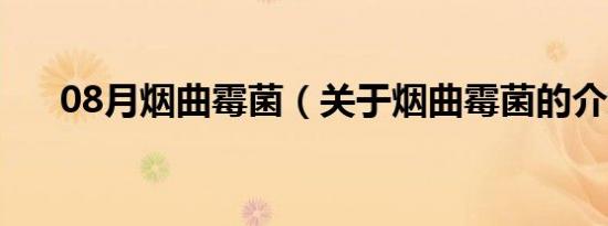 08月烟曲霉菌（关于烟曲霉菌的介绍）