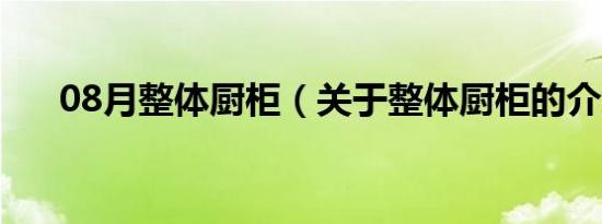 08月整体厨柜（关于整体厨柜的介绍）