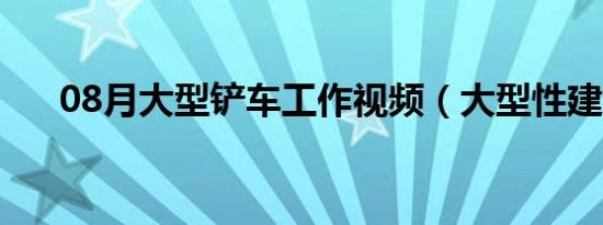 08月大型铲车工作视频（大型性建筑）