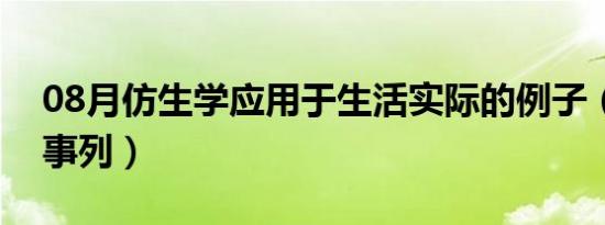 08月仿生学应用于生活实际的例子（仿生学事列）