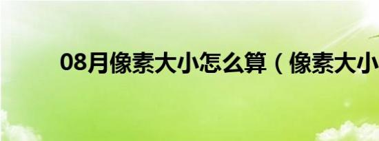 08月像素大小怎么算（像素大小）