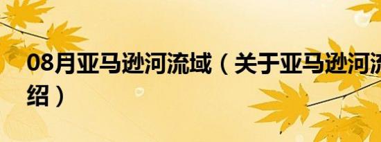 08月亚马逊河流域（关于亚马逊河流域的介绍）