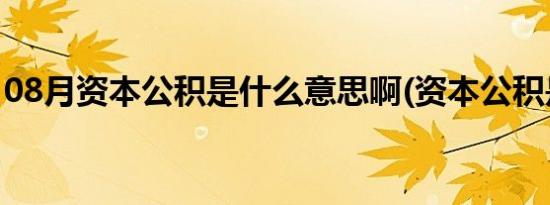 08月资本公积是什么意思啊(资本公积是什么)