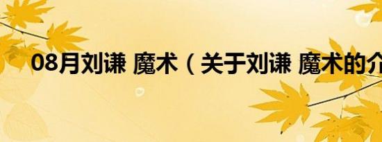 08月刘谦 魔术（关于刘谦 魔术的介绍）