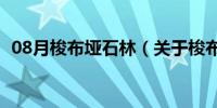 08月梭布垭石林（关于梭布垭石林的介绍）