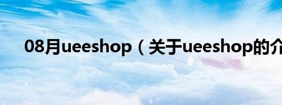 08月ueeshop（关于ueeshop的介绍）