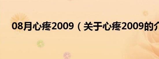 08月心疼2009（关于心疼2009的介绍）